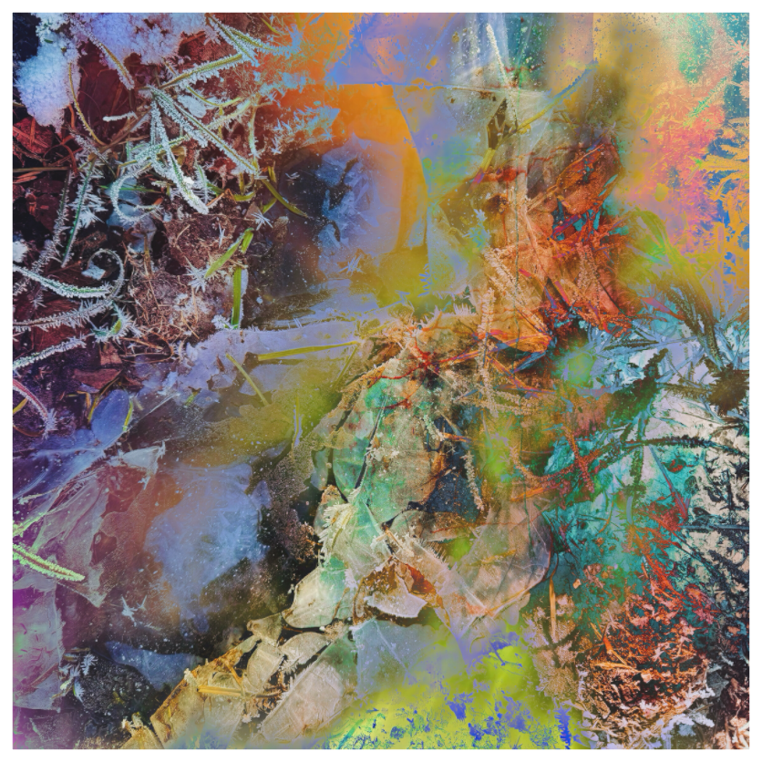 Hoarfrost on plants under hazy lilac, apricot and sage — iced down pastels, fine art print by ad.inf, Sascha Markus Huth