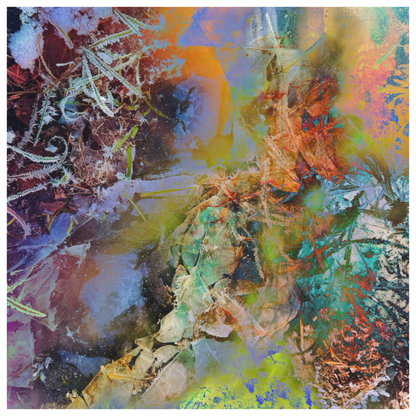 Hoarfrost on plants under hazy lilac, apricot and sage — iced down pastels, fine art print by ad.inf, Sascha Markus Huth