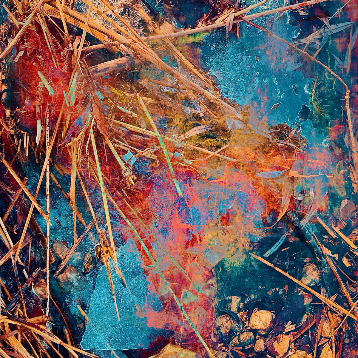 Ausgebleichte Halme quer über blau gefrorenem Wasser, mit Flecken aus Orange und Kupfer